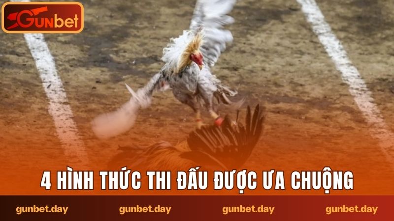 4 hình thức thi đấu được săn đón và ưa chuộng