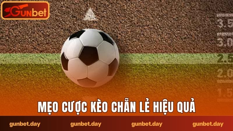 Áp dụng một số mẹo để chơi loại cược này hiệu quả hơn