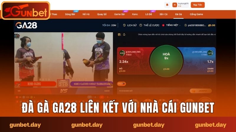Đà gà GA28 liên kết với nhà cái Gunbet