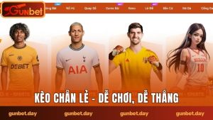 kèo chẵn lẻ