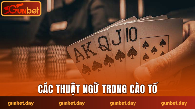 Nắm rõ các thuật ngữ quan trọng trong bài cào ba lá