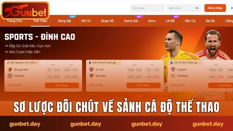 Sơ lược đôi chút về sảnh cá độ thể thao