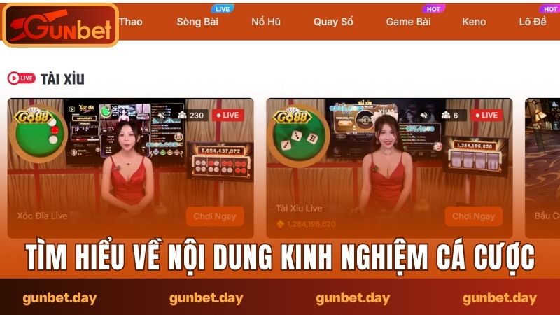 Tìm hiểu sơ lược về nội dung kinh nghiệm cá cược