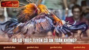 Đá gà trực tuyến có an toàn không