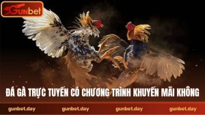 Đá gà trực tuyến có chương trình khuyến mãi không