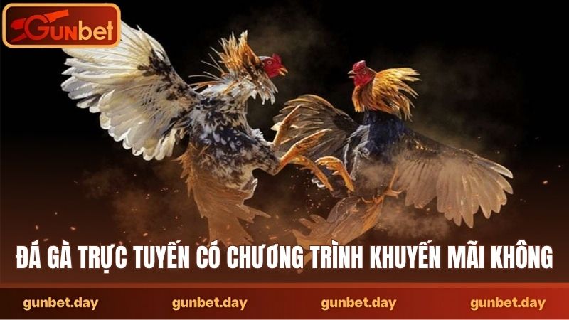 Đá gà trực tuyến có chương trình khuyến mãi không