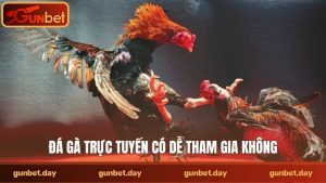 Đá gà trực tuyến có dễ tham gia không