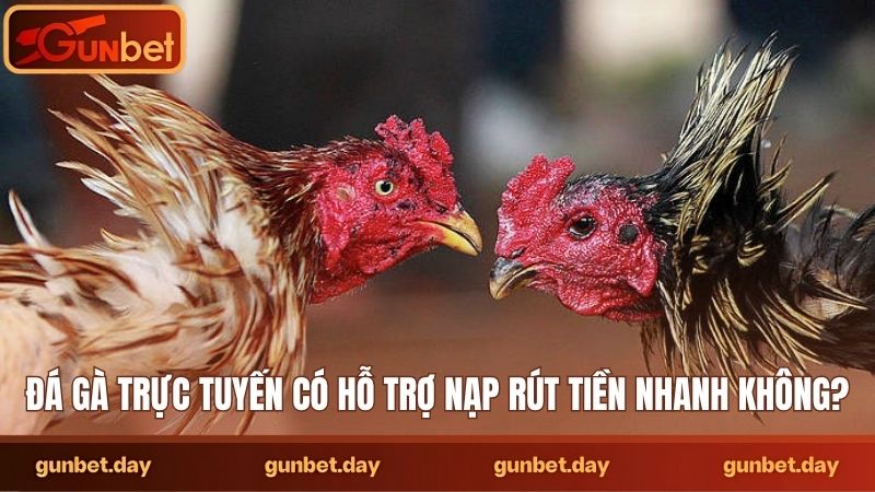 Đá gà trực tuyến có hỗ trợ nạp rút tiền nhanh không