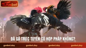 Đá gà trực tuyến có hợp pháp không