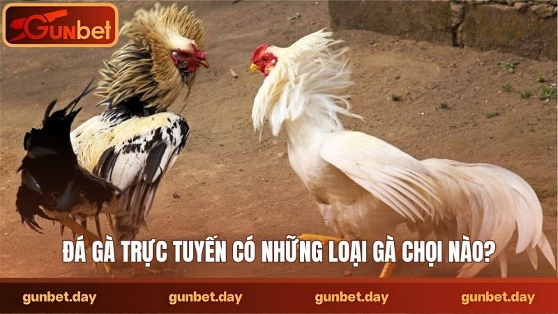 Đá gà trực tuyến có những loại gà chọi nào